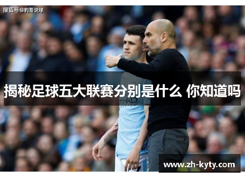 揭秘足球五大联赛分别是什么 你知道吗