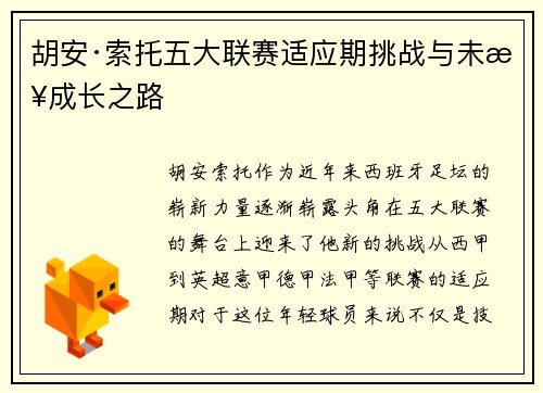 胡安·索托五大联赛适应期挑战与未来成长之路